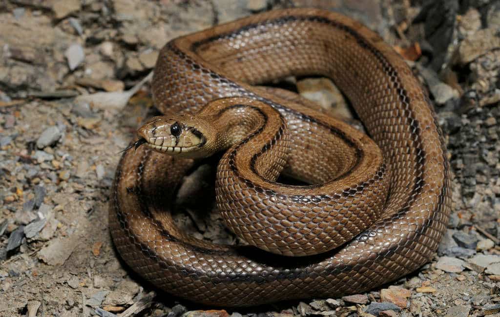 Spaanse avonturen in Fortuna/Murcia van Egbert en Barbara (3)