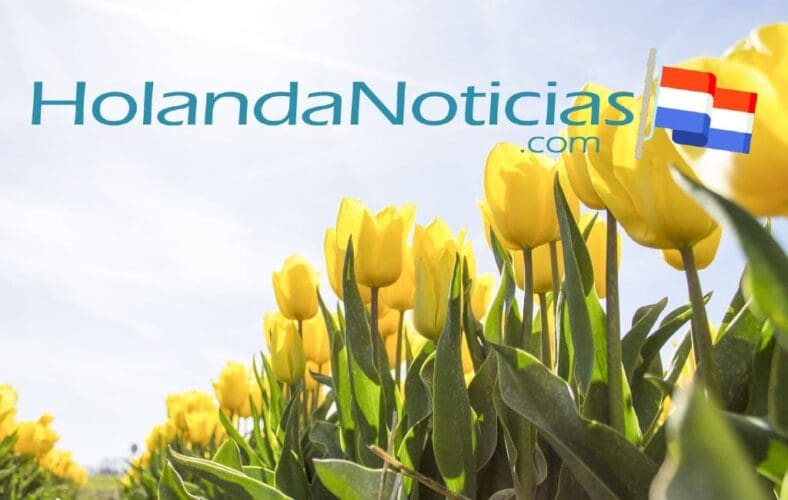 Wil je jouw Spaans oefenen? Lees dan het Nederlands en Belgisch nieuws in het Spaans!