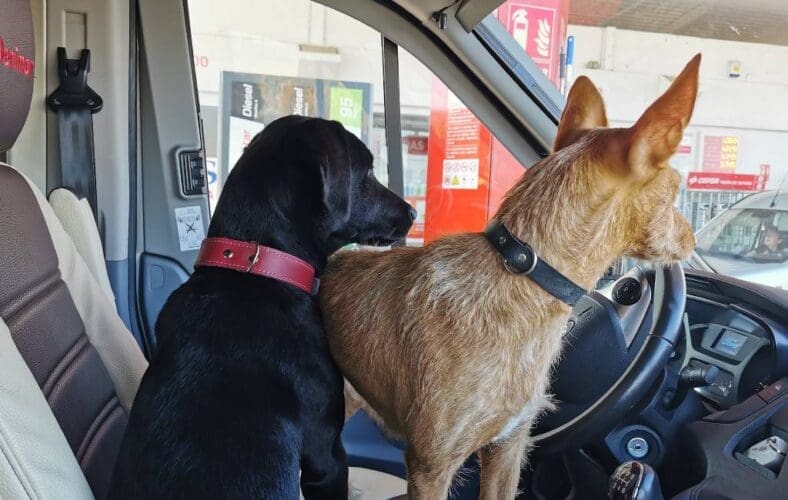 SpanjeVerhaal: Met de camper langs de Spaanse costa’s – deel 1