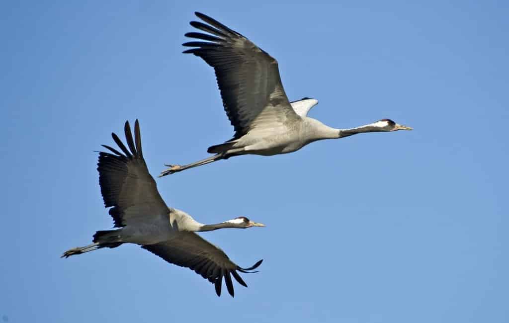 SpanjeVerhaal: Spaanse vriendelijkheid