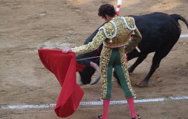 Het beroep van een stierenvechter is volgens het Hooggerechtshof geen kunst