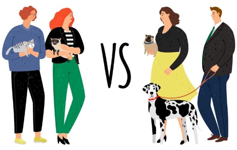 Welk huisdier is populairder op de wereld, in Spanje en andere landen: honden Vs katten