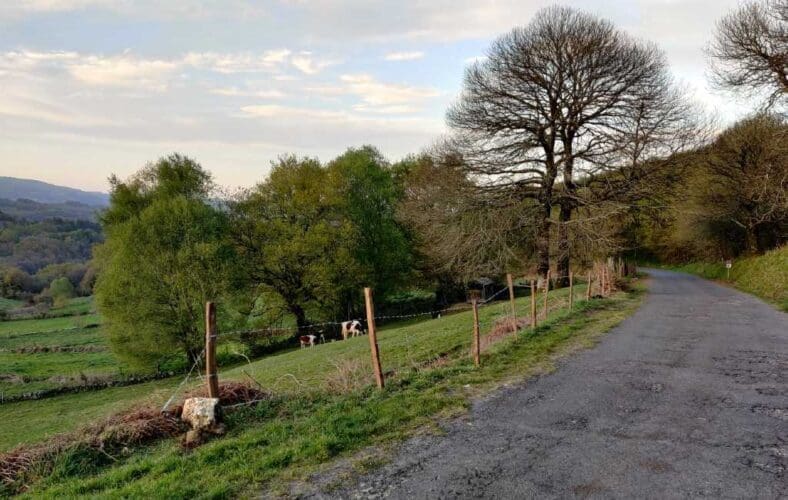 Emigratieverhaal Spanje: Een nieuw avontuur in Galicië (5)