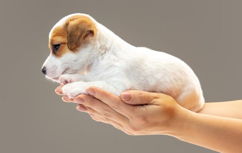 Spaanse avonturen in Fortuna/Murcia van Egbert en Barbara (50)