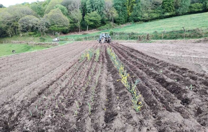 Emigratieverhaal Spanje: Een nieuw avontuur in Galicië (9)