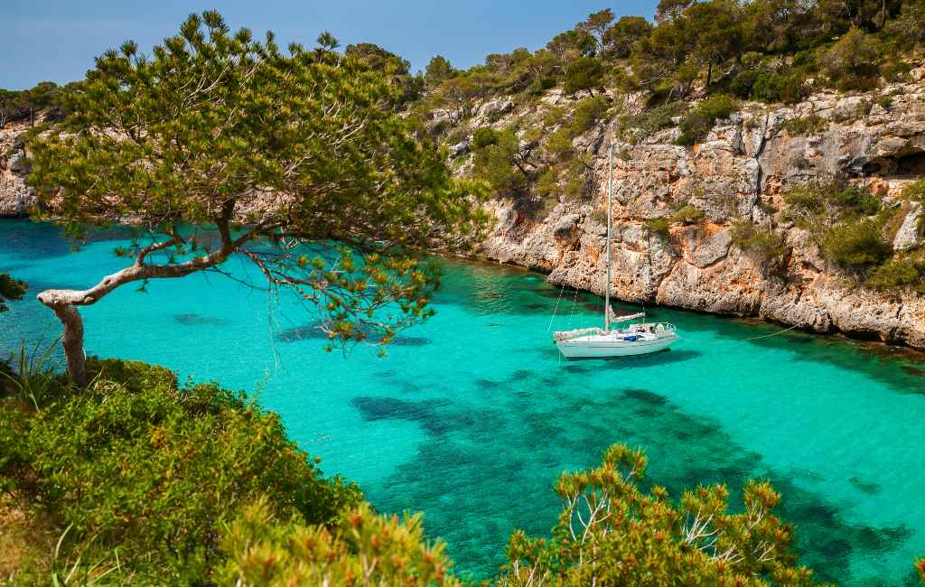 SpanjeVerhaal: Mallorca is eindelijk groen