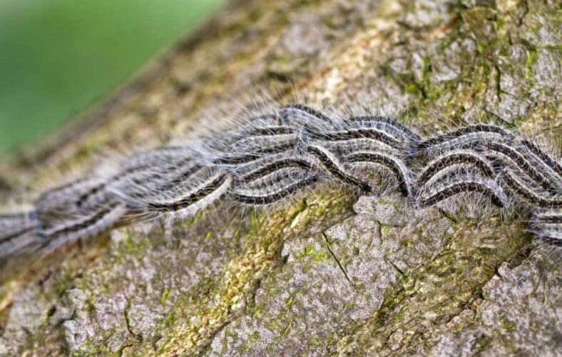 Spaanse avonturen in Fortuna/Murcia van Egbert en Barbara (59)