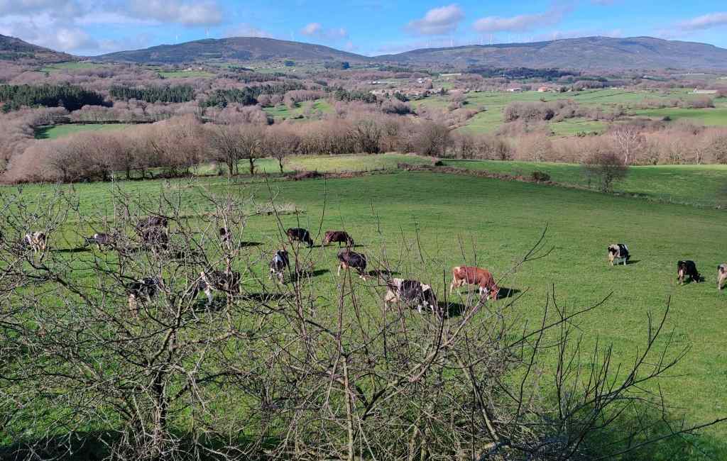 Emigratieverhaal Spanje: Een nieuw avontuur in Galicië (14)