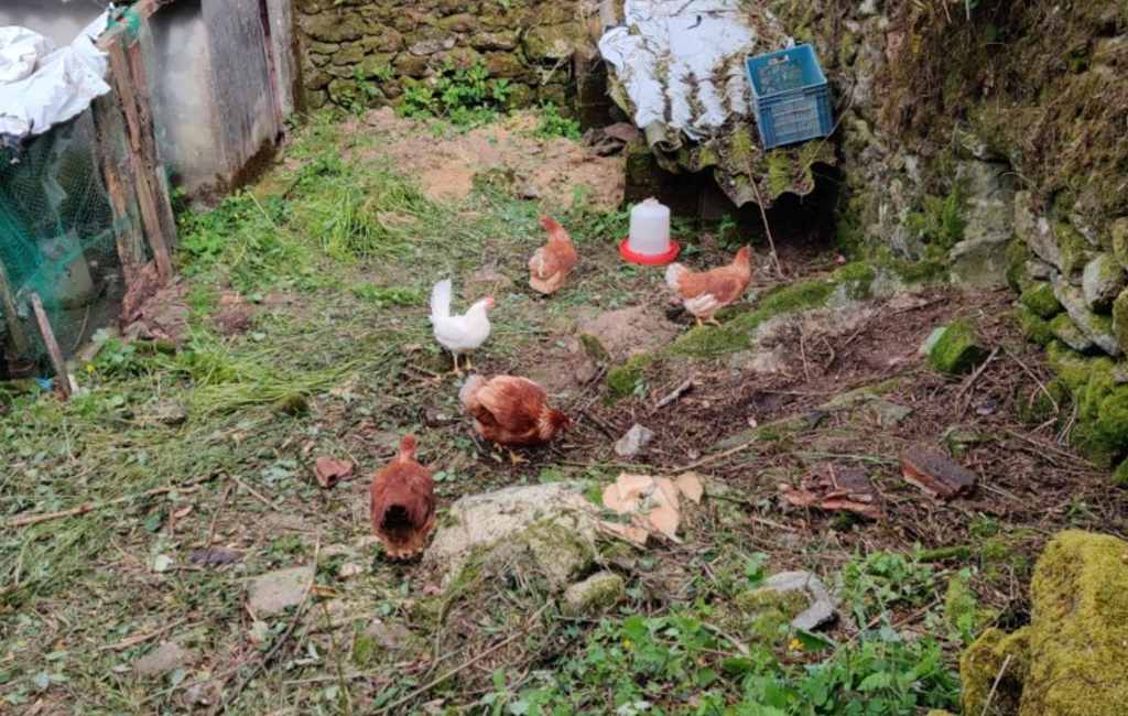 Emigratieverhaal Spanje: Een nieuw avontuur in Galicië (17)