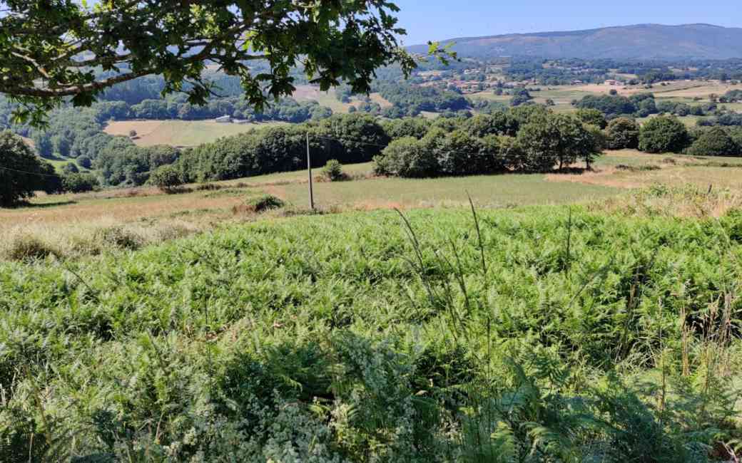 Emigratieverhaal Spanje: Een nieuw avontuur in Galicië (20)