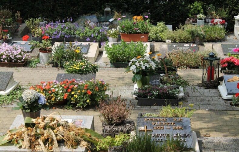 Prijzen van bloemen voor Allerheiligen 10 tot 20 procent hoger in Spanje