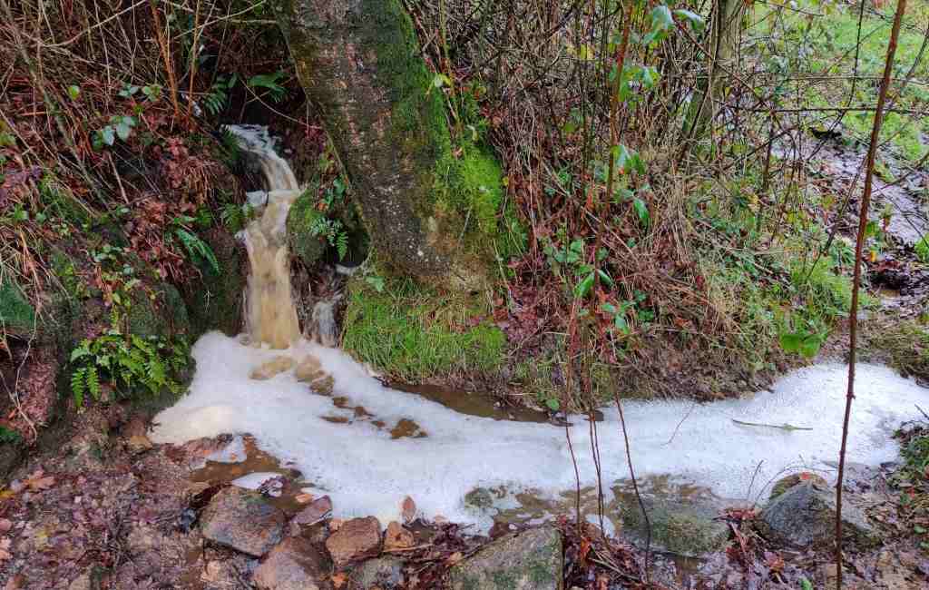 Emigratieverhaal Spanje: Een nieuw avontuur in Galicië (43)
