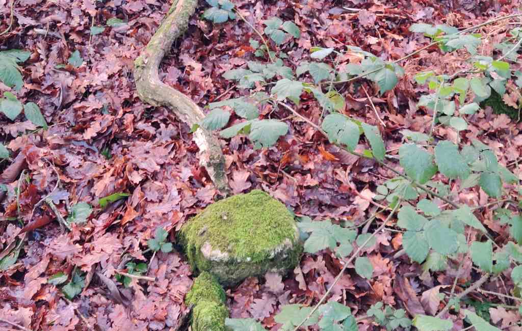 Emigratieverhaal Spanje: Een nieuw avontuur in Galicië (42)