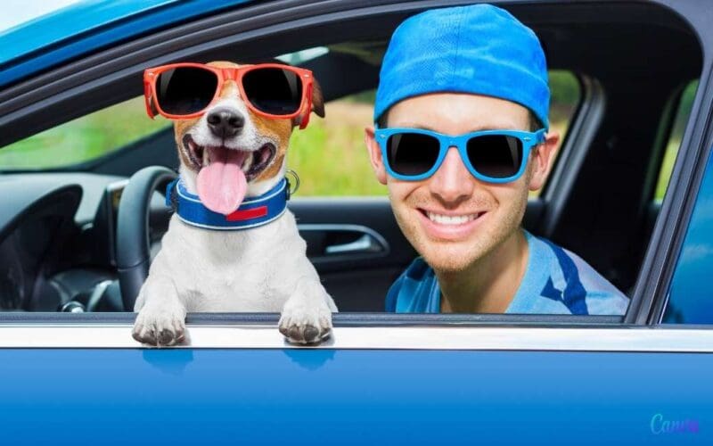 Je hond meenemen op vakantie naar Spanje