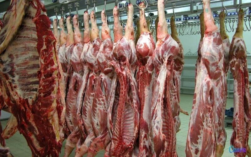 Meer controle in Spaanse slachthuizen  door middel van camera’s