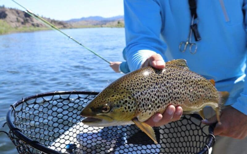 Vissen in Spanje? Leuke tips voor een visvakantie!