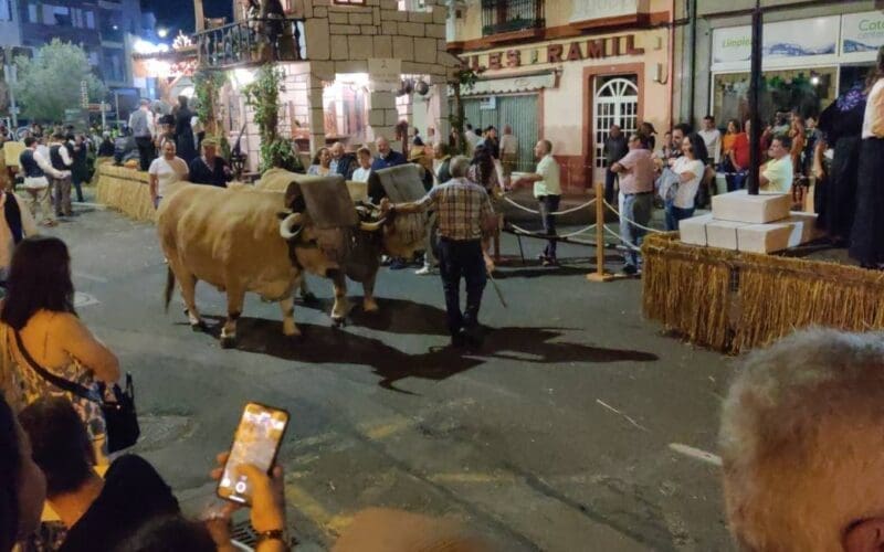 Emigratieverhaal Spanje: Een nieuw avontuur in Galicië (73)