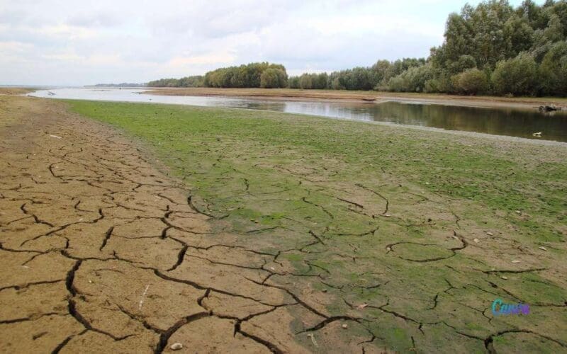 Het dubbele probleem van het landelijke Spanje: ontvolking en klimaatverandering