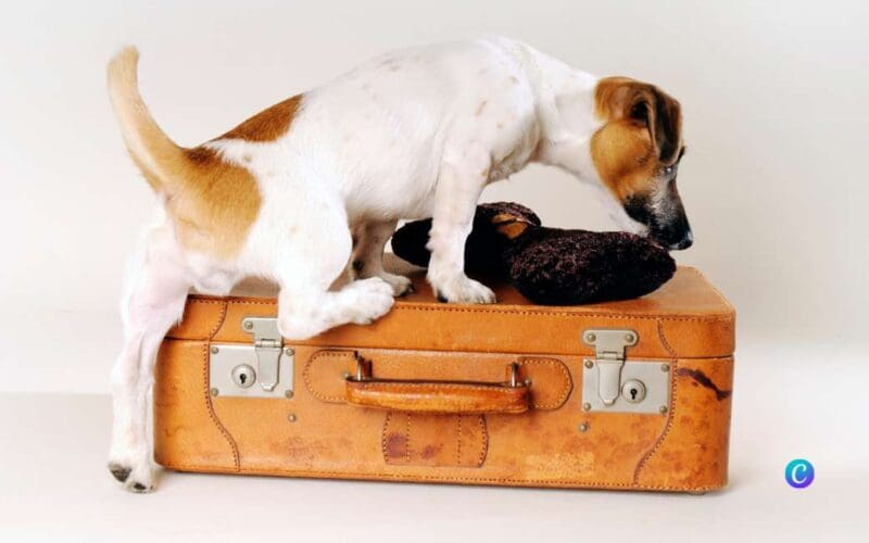 SpanjeVerhaal: Het wel en wee in een B&B in Spanje (15)