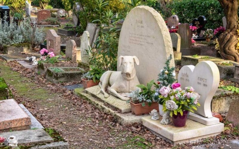 Barcelona krijgt als eerste Spaanse stad een openbare dierenbegraafplaats