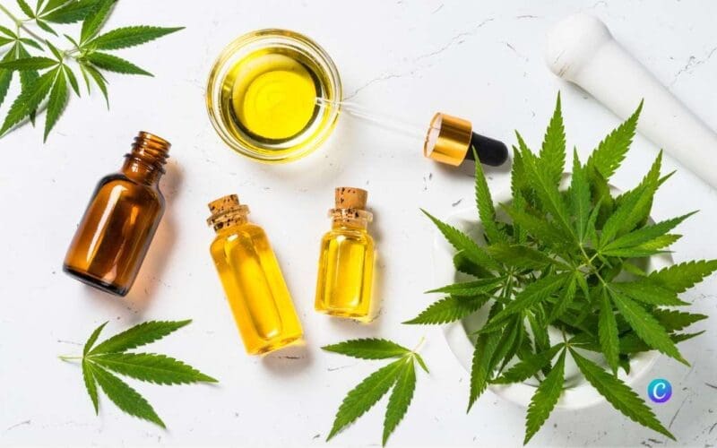 Voorstel om de productie van niet-psychoactieve cannabis te reguleren in Spanje