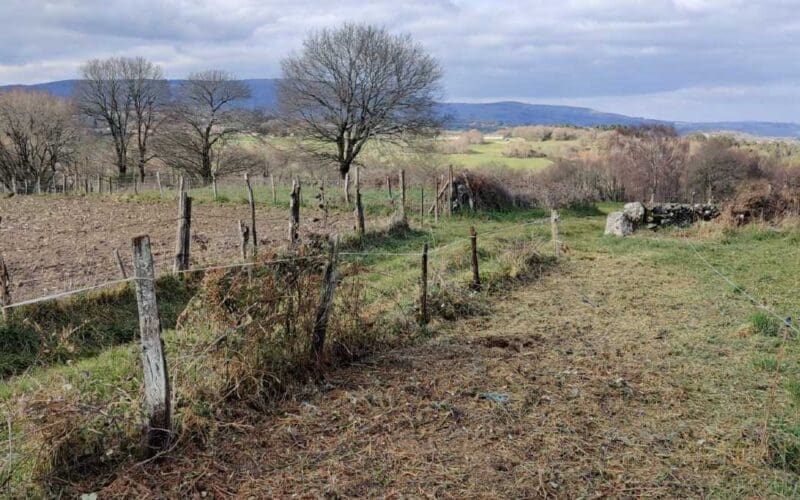 Emigratieverhaal Spanje: Een nieuw avontuur in Galicië (96)