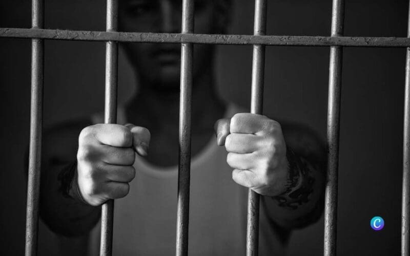 In de gevangenis ‘El Dueso’ in Cantabrië komen mishandelde honden weer op adem