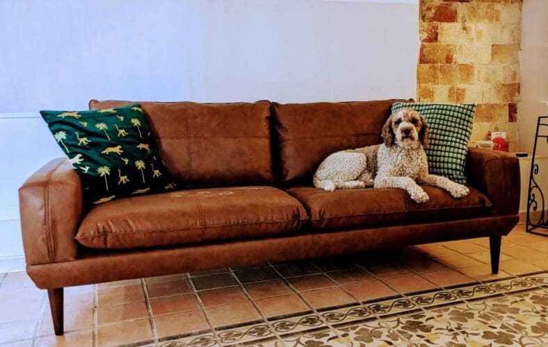 Emigratieverhaal Alicante: twee Leeuwtjes in Spanje (63)