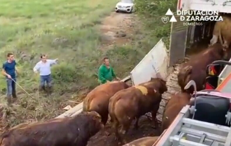 @DPzaragoza / twitter