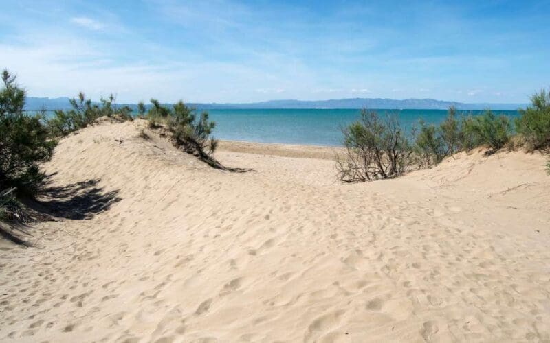 Milieuactivisten verzetten zich tegen het ‘Nederlandse’ plan voor de Ebro-delta