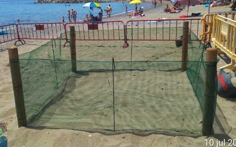 Marbella zoekt 200 vrijwilligers om schildpadeieren te beveiligen