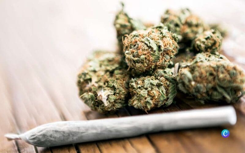 De zes regels van de Spaanse Cannabis clubs volgens de rechtbank