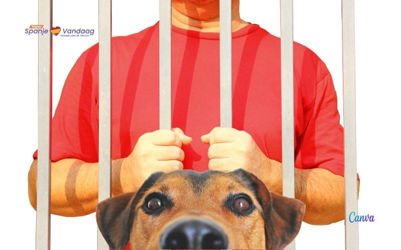 Rechter staat gevange toe een bezoek te ontvangen van zijn stervende hond