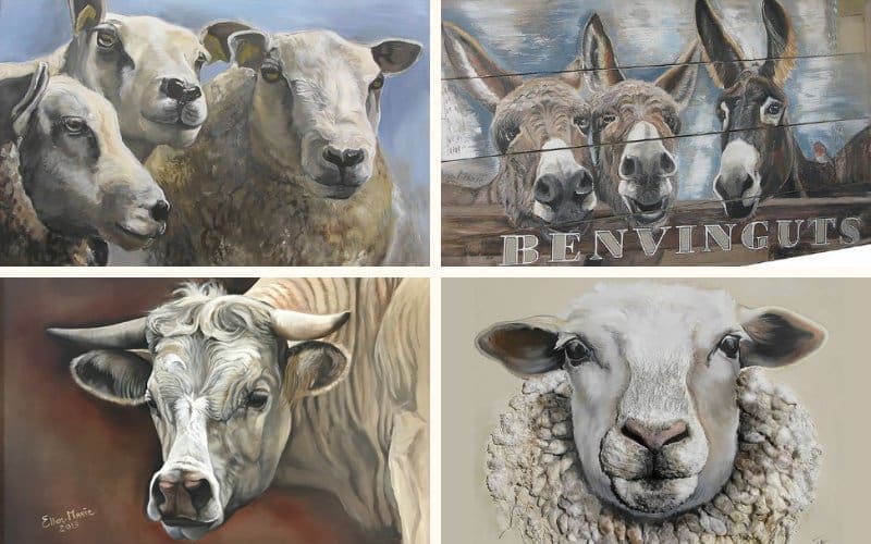 SpanjeVerhaal: Het wel en wee in een B&B in Spanje (45)