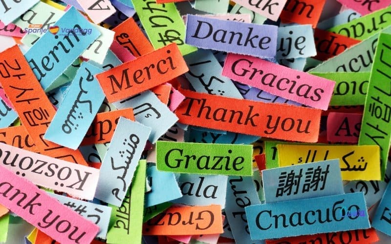 SpanjeVerhaal: Het wel en wee in een B&B in Spanje (47)