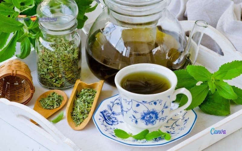 Na de maaltijd drinken veel Spanjaarden een ‘infusion’ maar wat is dat eigenlijk?