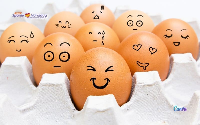 13 oktober is werelddag van het ei met 10x eigerechten