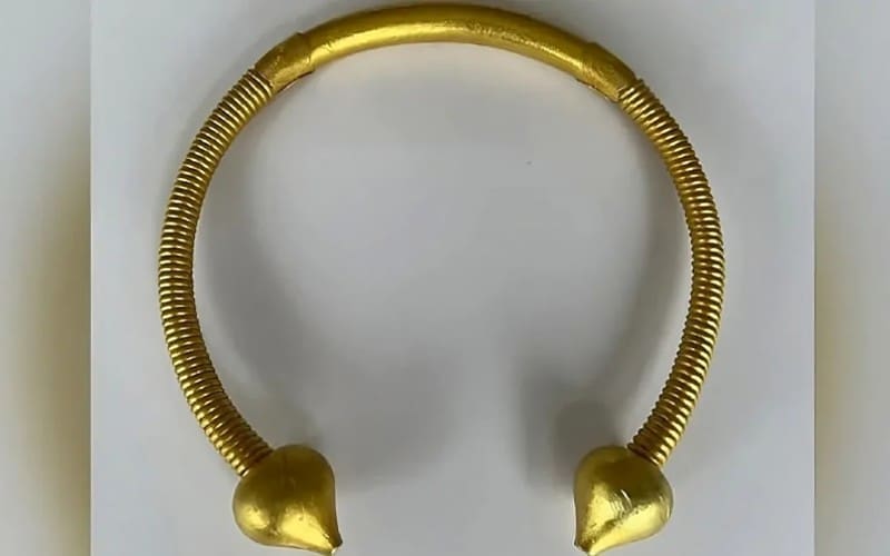 Boerenfamilie vindt in Galicië gouden schatten op hun weiland