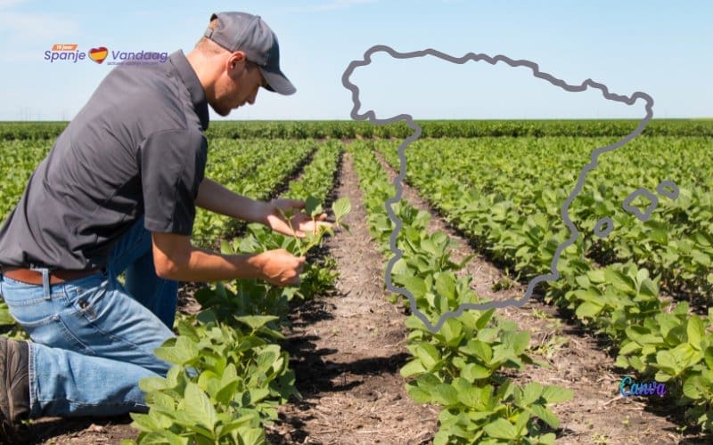 Bijna 11 procent landbouwgrond is biologische productie in Spanje