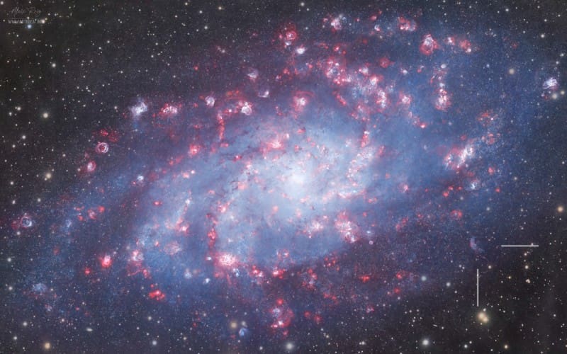 parcastroprades / instagram