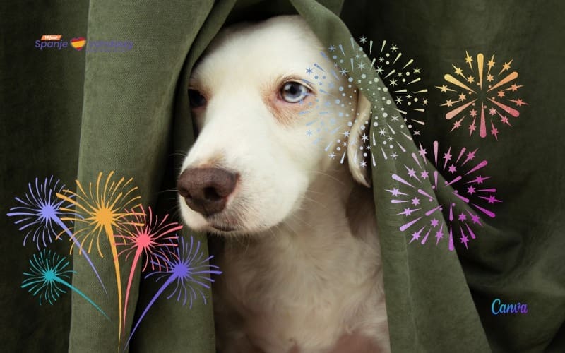 Vuurwerkverbod in Torremolinos ter bescherming van kwetsbare personen en huisdieren