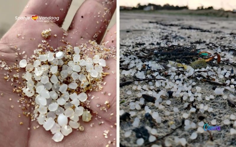 Galicië herbeleeft de nachtmerrie van de vervuilde stranden met ‘zeemeermintranen’
