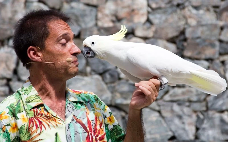 PortAventura neemt na 29 jaar afscheid van bekende vogelshow