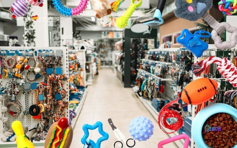 Analyse van de groeiende huisdierensector in Spanje en de toekomst