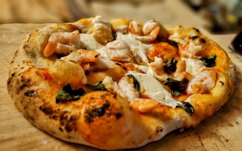 Twee Leeuwtjes in Alicante: het runnen van een B&B in Pinoso (96)