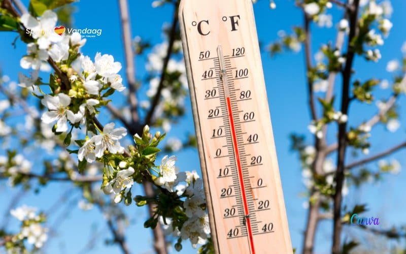 Lente is in Spanje begonnen met bijna 32 graden (2024)