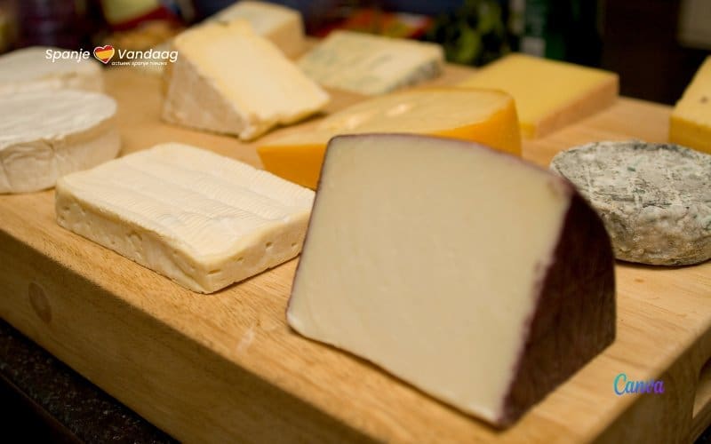 Spaanse kazen en de groeiende import en export in Spanje