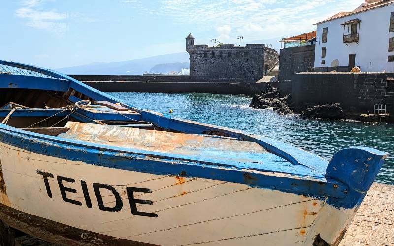 Twee Leeuwtjes in Alicante: het runnen van een B&B in Pinoso (100)