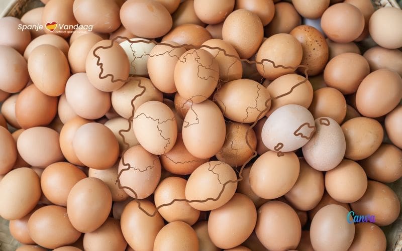 Spanjaarden eten meer eieren met gemiddeld 137 ‘huevos’ per persoon per jaar