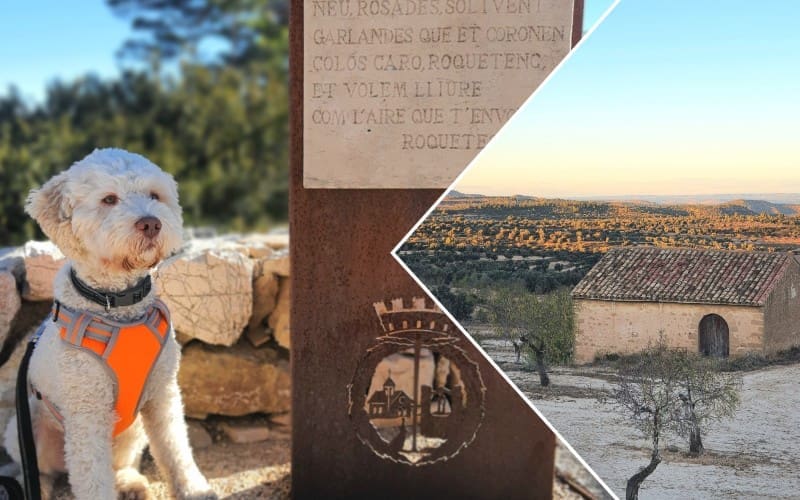 CamperVerhaal: Vlaams koppel op reis door Spanje (11)